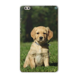 dtab compact d-02k docomo d^u p ^ubg P[X ^ubg Jo[ TPU \tgP[X 002580 Aj} @@ʐ^