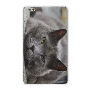 dtab compact d-02k docomo d^u p ^ubg P[X ^ubg Jo[ TPU \tgP[X 002650 Aj} L@@ʐ^