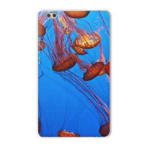 dtab compact d-02k docomo d^u p ^ubg P[X ^ubg Jo[ TPU \tgP[X 003327 N[ ʐ^Ei 炰@C@ʐ^