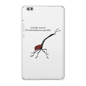 dtab compact d-02k docomo d�^�u �p �^�u���b�g �P�[�X �^�u���b�g �J�o�[ TPU �\�t�g�P�[�X 020018 �� �� giraffe weevil �L�����N�r�i�K�I�]�E���V