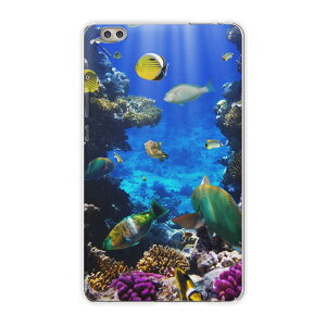 dtab compact d-02k docomo d^u p ^ubg P[X ^ubg Jo[ TPU \tgP[X 004493 Aj} ʐ^Ei C@@ʐ^