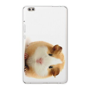 dtab compact d-02k docomo d^u p ^ubg P[X ^ubg Jo[ TPU \tgP[X 006036 Aj} ʐ^Ei ʐ^@@nX^[