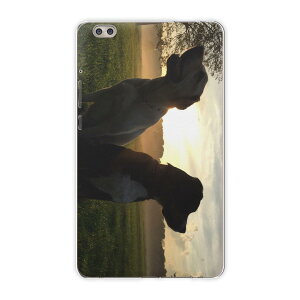 dtab compact d-02k docomo d^u p ^ubg P[X ^ubg Jo[ TPU \tgP[X 006937 Aj} ʐ^Ei ʐ^@