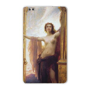 dtab compact d-02k docomo d^u p ^ubg P[X ^ubg Jo[ TPU \tgP[X 011460 CXg@l@G