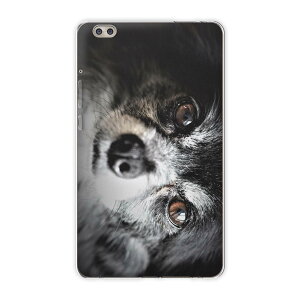 dtab compact d-02k docomo d^u p ^ubg P[X ^ubg Jo[ TPU \tgP[X 018313  ʐ^