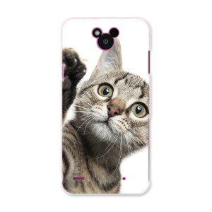 DM-02H Disney Mobile fBYj[oC dm02h docomo hR X}z Jo[ P[X X}zP[X X}zJo[ PC n[hP[X L@@ʐ^ Aj} 002674