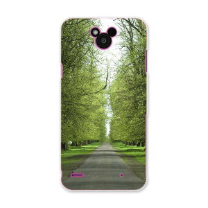 DM-02H Disney Mobile fBYj[oC dm02h docomo hR X}z Jo[ P[X X}zP[X X}zJo[ PC n[hP[X ʐ^@ā@ؓ ʐ^Ei 005918