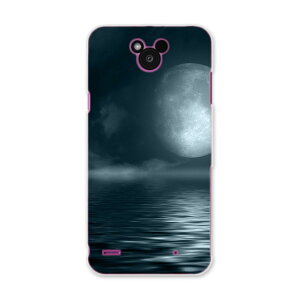 DM-02H Disney Mobile ディズニーモバイル dm02h docomo ドコモ スマホ カバー ケース スマホケース スマホカバー PC ハードケース 海 夜 月 写真・風景 006034