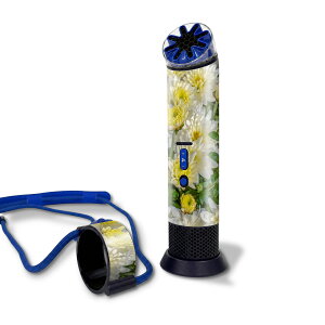 Dyson HushJet Mini Cool �Ή� �X�L���V�[�� �������� �ی� �J�o�[ �X�e�b�J�[ �|�[�^�u���t�@�� �n���f�B�t�@�� �g�ѐ�@ PF01 ������� �\�邾�� igsticker �ԁ@�ʐ^ 023116