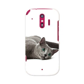 楽天市場 F01l 猫の通販