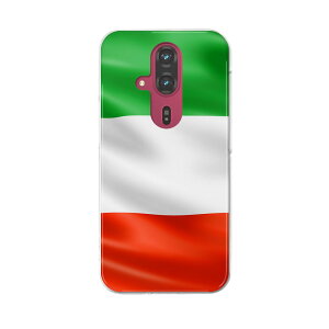 らくらくスマートフォン F-53E 用ハードケース f53e ケース カバー ハードケース 001189 イタリア 国旗