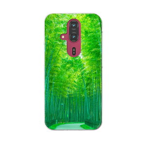 炭炭X}[gtH F-53E pn[hP[X f53e P[X Jo[ n[hP[X 033740 | a