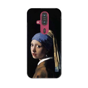 炭炭X}[gtH F-53E pn[hP[X f53e P[X Jo[ n[hP[X 011470 CXg@l@G