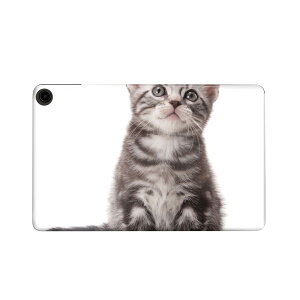 fire max 11 p t@C[}bNX ^ubg pXLV[ Jo[ P[X ی tB XebJ[ fR ANZT[ fUC 001070 L@AJV[gwA