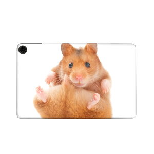 fire max 11 p t@C[}bNX ^ubg pXLV[ Jo[ P[X ی tB XebJ[ fR ANZT[ fUC 001075 nX^[@