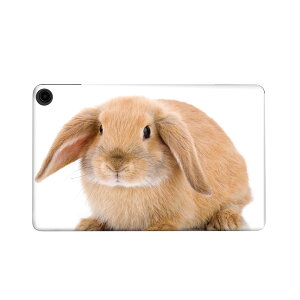 fire max 11 p t@C[}bNX ^ubg pXLV[ Jo[ P[X ی tB XebJ[ fR ANZT[ fUC 001112 @