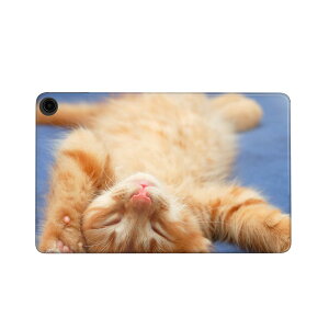 fire max 11 p t@C[}bNX ^ubg pXLV[ Jo[ P[X ی tB XebJ[ fR ANZT[ fUC 002759 L@@ʐ^