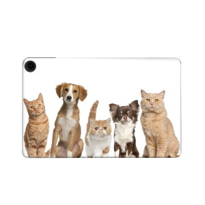 fire max 11 p t@C[}bNX ^ubg pXLV[ Jo[ P[X ی tB XebJ[ fR ANZT[ fUC 002789 @L@@ʐ^