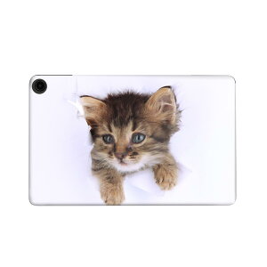 fire max 11 p t@C[}bNX ^ubg pXLV[ Jo[ P[X ی tB XebJ[ fR ANZT[ fUC 002892 L@@ʐ^