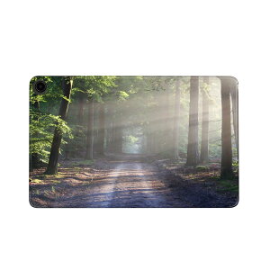 fire max 11 p t@C[}bNX ^ubg pXLV[ Jo[ P[X ی tB XebJ[ fR ANZT[ fUC 022911 i@؁@ʐ^