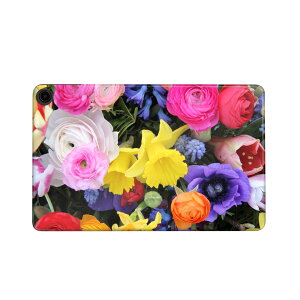 fire max 11 p t@C[}bNX ^ubg pXLV[ Jo[ P[X ی tB XebJ[ fR ANZT[ fUC 005494 ʐ^@