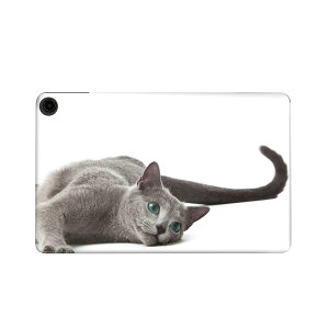 fire max 11 p t@C[}bNX ^ubg pXLV[ Jo[ P[X ی tB XebJ[ fR ANZT[ fUC 005907 Aj} ʐ^@@L@˂