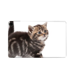 fire max 11 p t@C[}bNX ^ubg pXLV[ Jo[ P[X ی tB XebJ[ fR ANZT[ fUC 005930 Aj} ʐ^@@L@˂