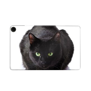 fire max 11 p t@C[}bNX ^ubg pXLV[ Jo[ P[X ی tB XebJ[ fR ANZT[ fUC 005958 Aj} ʐ^@@˂@L