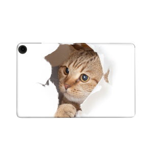 fire max 11 p t@C[}bNX ^ubg pXLV[ Jo[ P[X ی tB XebJ[ fR ANZT[ fUC 013566 L@ʐ^