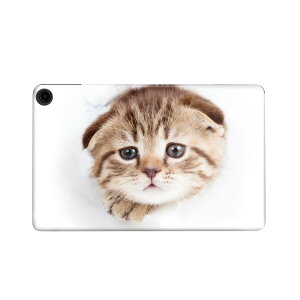 fire max 11 p t@C[}bNX ^ubg pXLV[ Jo[ P[X ی tB XebJ[ fR ANZT[ fUC 013568 L@ʐ^@qL