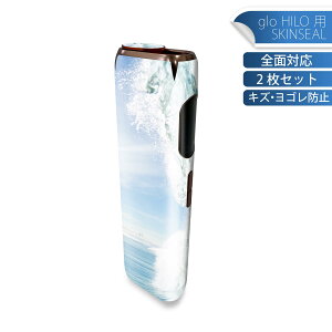 glo HILO ��p �f�U�C���X�L���V�[�� �S�� 2���Z�b�g�t���Z�b�g �J�o�[ �P�[�X �ی� �O���[ �O���E �X�e�b�J�[ �f�R �A�N�Z�T���[ �X�e�b�J�[ �ی�V�[�� ���i���Ĕ������V�[�g 001164 �g�@�T�[