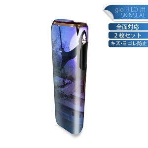 glo HILO ��p �f�U�C���X�L���V�[�� �S�� 2���Z�b�g�t���Z�b�g �J�o�[ �P�[�X �ی� �O���[ �O���E �X�e�b�J�[ �f�R �A�N�Z�T���[ �X�e�b�J�[ �ی�V�[�� ���i���Ĕ������V�[�g 002455 �z���[�@