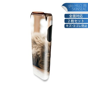 glo HILO p fUCXLV[ S 2ZbgtZbg Jo[ P[X ی O[ OE XebJ[ fR ANZT[ XebJ[ یV[ iĔV[g 002601 L@