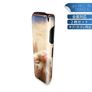 glo HILO p fUCXLV[ S 2ZbgtZbg Jo[ P[X ی O[ OE XebJ[ fR ANZT[ XebJ[ یV[ iĔV[g 002759 L@