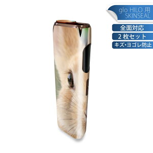 glo HILO p fUCXLV[ S 2ZbgtZbg Jo[ P[X ی O[ OE XebJ[ fR ANZT[ XebJ[ یV[ iĔV[g 002807 @