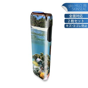 glo HILO ��p �f�U�C���X�L���V�[�� �S�� 2���Z�b�g�t���Z�b�g �J�o�[ �P�[�X �ی� �O���[ �O���E �X�e�b�J�[ �f�R �A�N�Z�T���[ �X�e�b�J�[ �ی�V�[�� ���i���Ĕ������V�[�g 003328 �C�@�O��