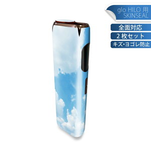 glo HILO ��p �f�U�C���X�L���V�[�� �S�� 2���Z�b�g�t���Z�b�g �J�o�[ �P�[�X �ی� �O���[ �O���E �X�e�b�J�[ �f�R �A�N�Z�T���[ �X�e�b�J�[ �ی�V�[�� ���i���Ĕ������V�[�g 003474 ��@�ʐ^