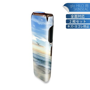 glo HILO ��p �f�U�C���X�L���V�[�� �S�� 2���Z�b�g�t���Z�b�g �J�o�[ �P�[�X �ی� �O���[ �O���E �X�e�b�J�[ �f�R �A�N�Z�T���[ �X�e�b�J�[ �ی�V�[�� ���i���Ĕ������V�[�g 022947 �ʐ^�@�C