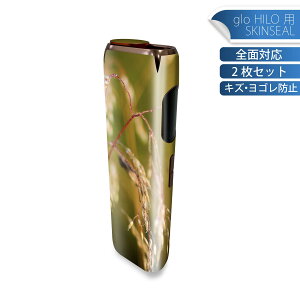 glo HILO ��p �f�U�C���X�L���V�[�� �S�� 2���Z�b�g�t���Z�b�g �J�o�[ �P�[�X �ی� �O���[ �O���E �X�e�b�J�[ �f�R �A�N�Z�T���[ �X�e�b�J�[ �ی�V�[�� ���i���Ĕ������V�[�g 023045 ���X�@��