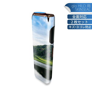 glo HILO ��p �f�U�C���X�L���V�[�� �S�� 2���Z�b�g�t���Z�b�g �J�o�[ �P�[�X �ی� �O���[ �O���E �X�e�b�J�[ �f�R �A�N�Z�T���[ �X�e�b�J�[ �ی�V�[�� ���i���Ĕ������V�[�g 023061 ���R�@�R