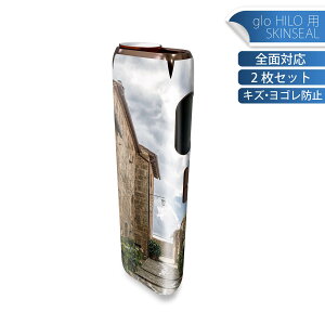 glo HILO ��p �f�U�C���X�L���V�[�� �S�� 2���Z�b�g�t���Z�b�g �J�o�[ �P�[�X �ی� �O���[ �O���E �X�e�b�J�[ �f�R �A�N�Z�T���[ �X�e�b�J�[ �ی�V�[�� ���i���Ĕ������V�[�g 025994 �����@��