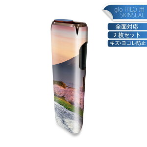 glo HILO ��p �f�U�C���X�L���V�[�� �S�� 2���Z�b�g�t���Z�b�g �J�o�[ �P�[�X �ی� �O���[ �O���E �X�e�b�J�[ �f�R �A�N�Z�T���[ �X�e�b�J�[ �ی�V�[�� ���i���Ĕ������V�[�g 033607 �x�m�R ��