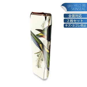 glo HILO p fUCXLV[ S 2ZbgtZbg Jo[ P[X ی O[ OE XebJ[ fR ANZT[ XebJ[ یV[ iĔV[g 036026  G J