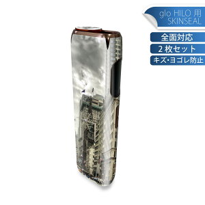 glo HILO ��p �f�U�C���X�L���V�[�� �S�� 2���Z�b�g�t���Z�b�g �J�o�[ �P�[�X �ی� �O���[ �O���E �X�e�b�J�[ �f�R �A�N�Z�T���[ �X�e�b�J�[ �ی�V�[�� ���i���Ĕ������V�[�g 005933 �ʐ^�@��