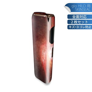 glo HILO ��p �f�U�C���X�L���V�[�� �S�� 2���Z�b�g�t���Z�b�g �J�o�[ �P�[�X �ی� �O���[ �O���E �X�e�b�J�[ �f�R �A�N�Z�T���[ �X�e�b�J�[ �ی�V�[�� ���i���Ĕ������V�[�g 005999 �F���@��