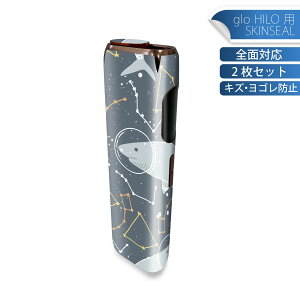 glo HILO ��p �f�U�C���X�L���V�[�� �S�� 2���Z�b�g�t���Z�b�g �J�o�[ �P�[�X �ی� �O���[ �O���E �X�e�b�J�[ �f�R �A�N�Z�T���[ �X�e�b�J�[ �ی�V�[�� ���i���Ĕ������V�[�g 050550