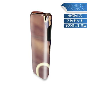 glo HILO ��p �f�U�C���X�L���V�[�� �S�� 2���Z�b�g�t���Z�b�g �J�o�[ �P�[�X �ی� �O���[ �O���E �X�e�b�J�[ �f�R �A�N�Z�T���[ �X�e�b�J�[ �ی�V�[�� ���i���Ĕ������V�[�g 006471 �ʐ^�@�F
