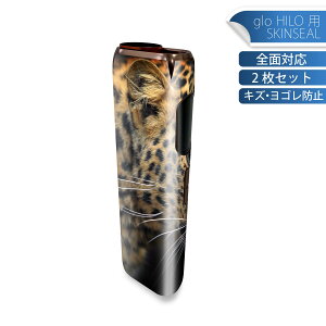 glo HILO ��p �f�U�C���X�L���V�[�� �S�� 2���Z�b�g�t���Z�b�g �J�o�[ �P�[�X �ی� �O���[ �O���E �X�e�b�J�[ �f�R �A�N�Z�T���[ �X�e�b�J�[ �ی�V�[�� ���i���Ĕ������V�[�g 006775 �ʐ^�@��