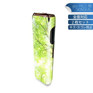 glo HILO p fUCXLV[ S 2ZbgtZbg Jo[ P[X ی O[ OE XebJ[ fR ANZT[ XebJ[ یV[ iĔV[g 009755 A@