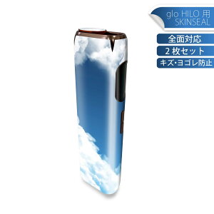 glo HILO ��p �f�U�C���X�L���V�[�� �S�� 2���Z�b�g�t���Z�b�g �J�o�[ �P�[�X �ی� �O���[ �O���E �X�e�b�J�[ �f�R �A�N�Z�T���[ �X�e�b�J�[ �ی�V�[�� ���i���Ĕ������V�[�g 010215 ��@�n�[